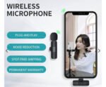 2 in 1 Wireless Bluetooth microphone
