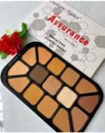 Becharm ageless assurance powder palette