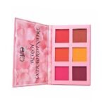 CPD Extraordinary blush palette - Image 2