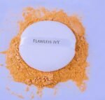 Flawless HD Matte Compact Powder