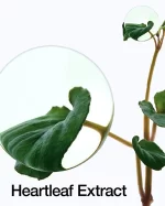 Anua Heartleaf Pore Control Cleansing Oil - Image 7