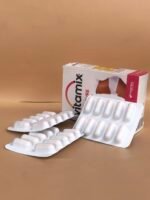 Vitamix Slimfigure Capsules - Image 3