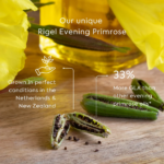 Efamol Evening Primrose - Image 3